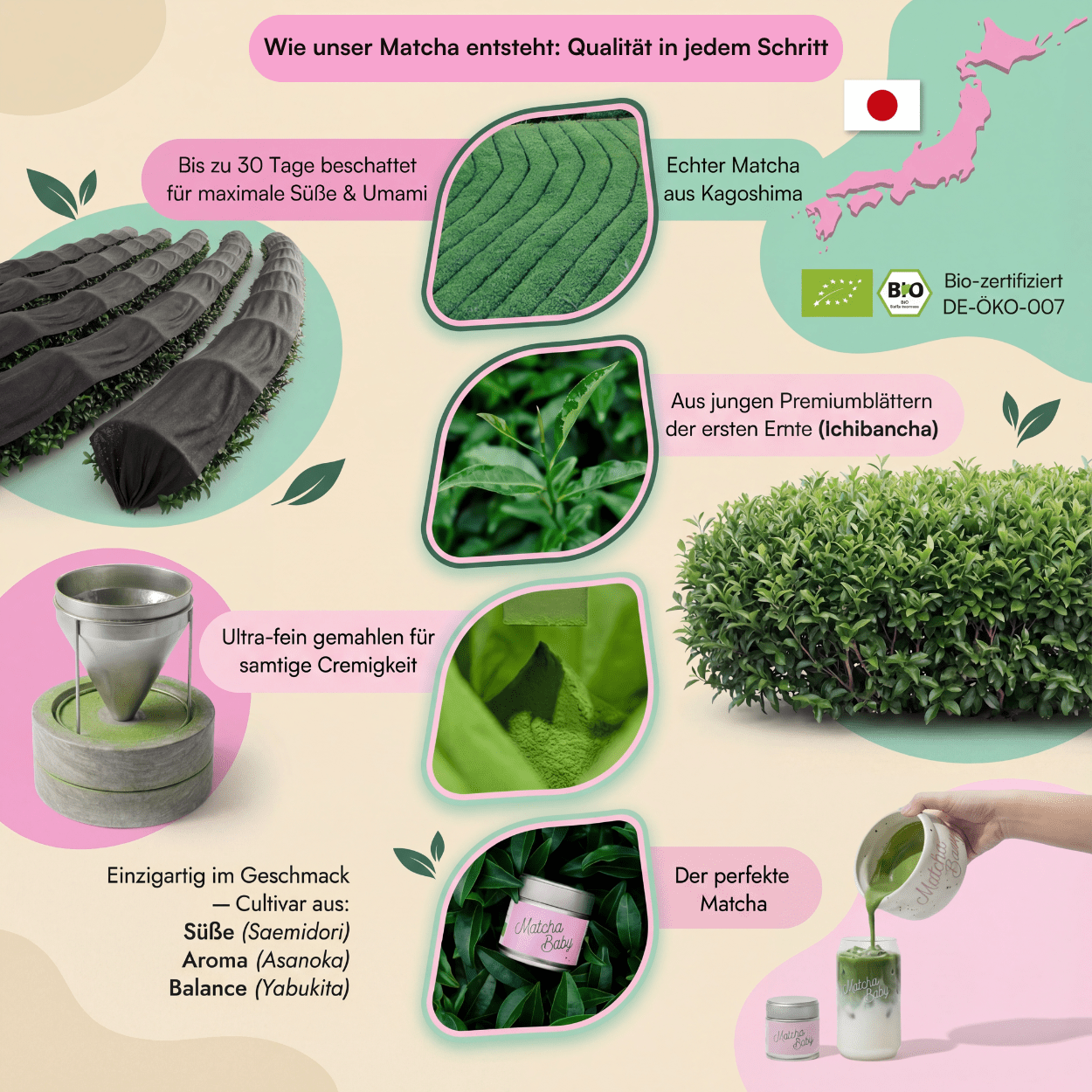 Echter_Matcha_aus_Kagoshima_4.png