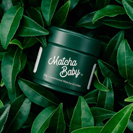 Matcha Baby: Der perfekte Matcha, Single Cultivar